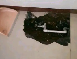 日照市卫生间测漏水多少钱